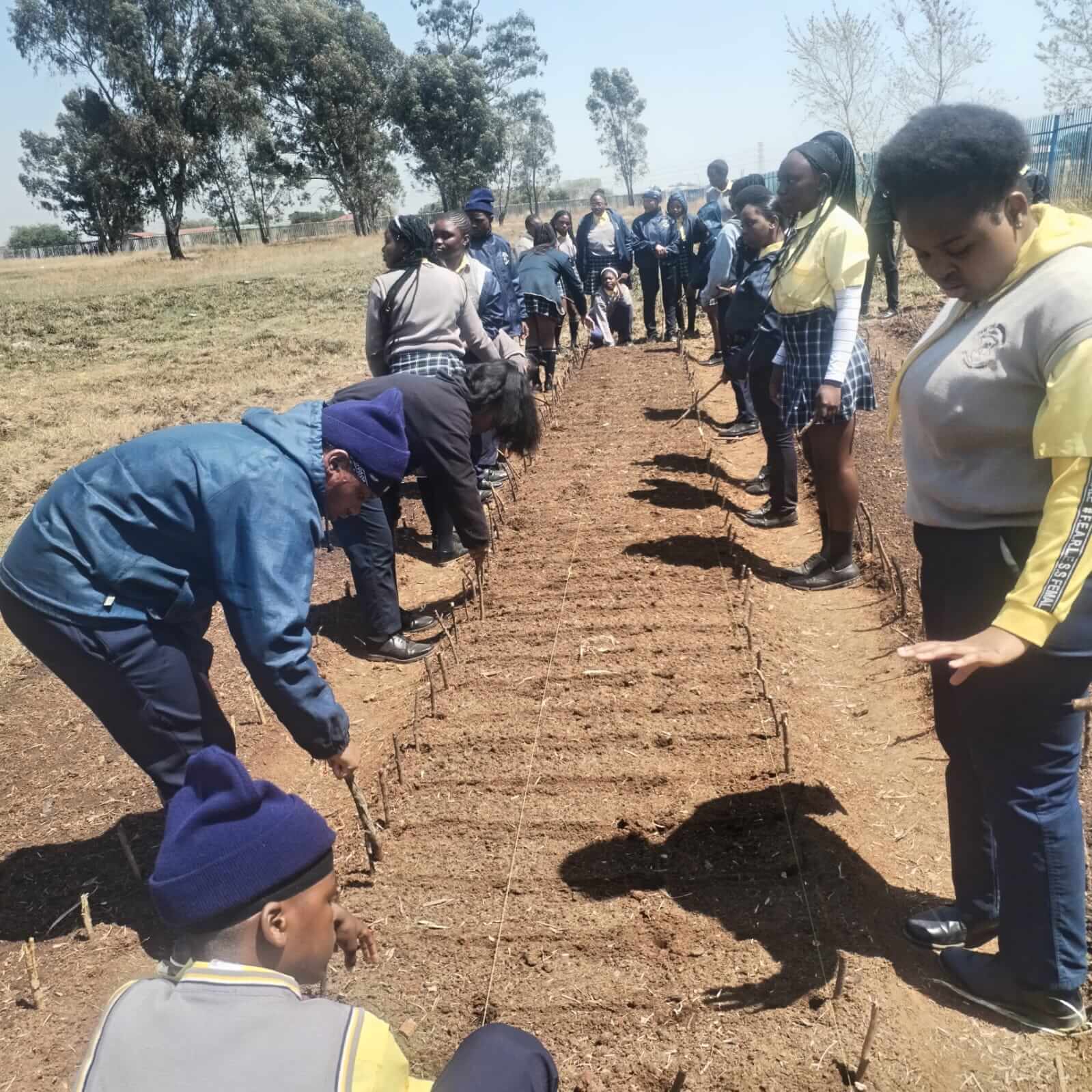ASD farm activity