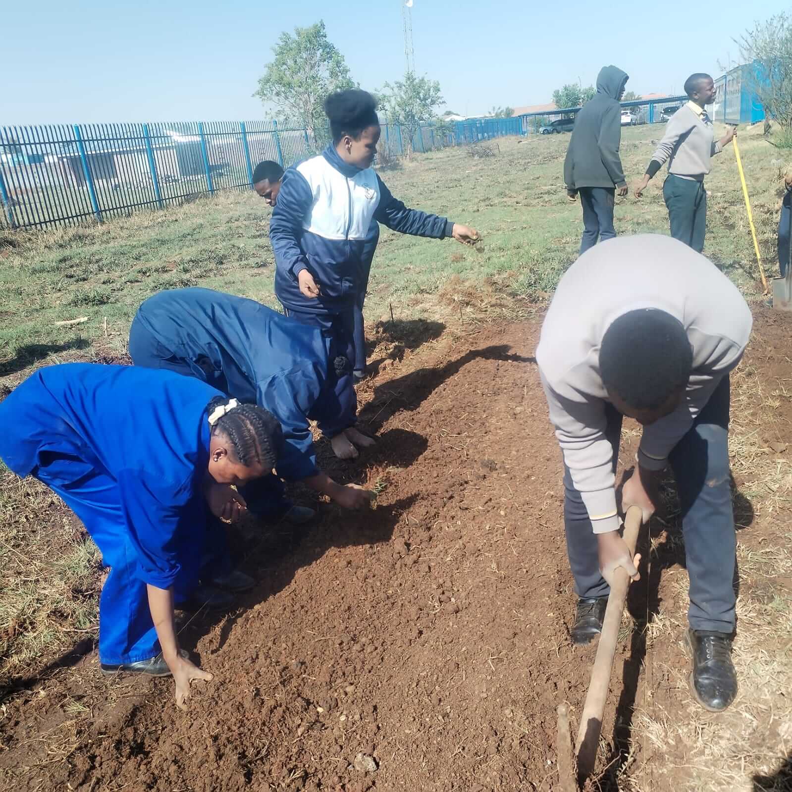 ASD farm activity
