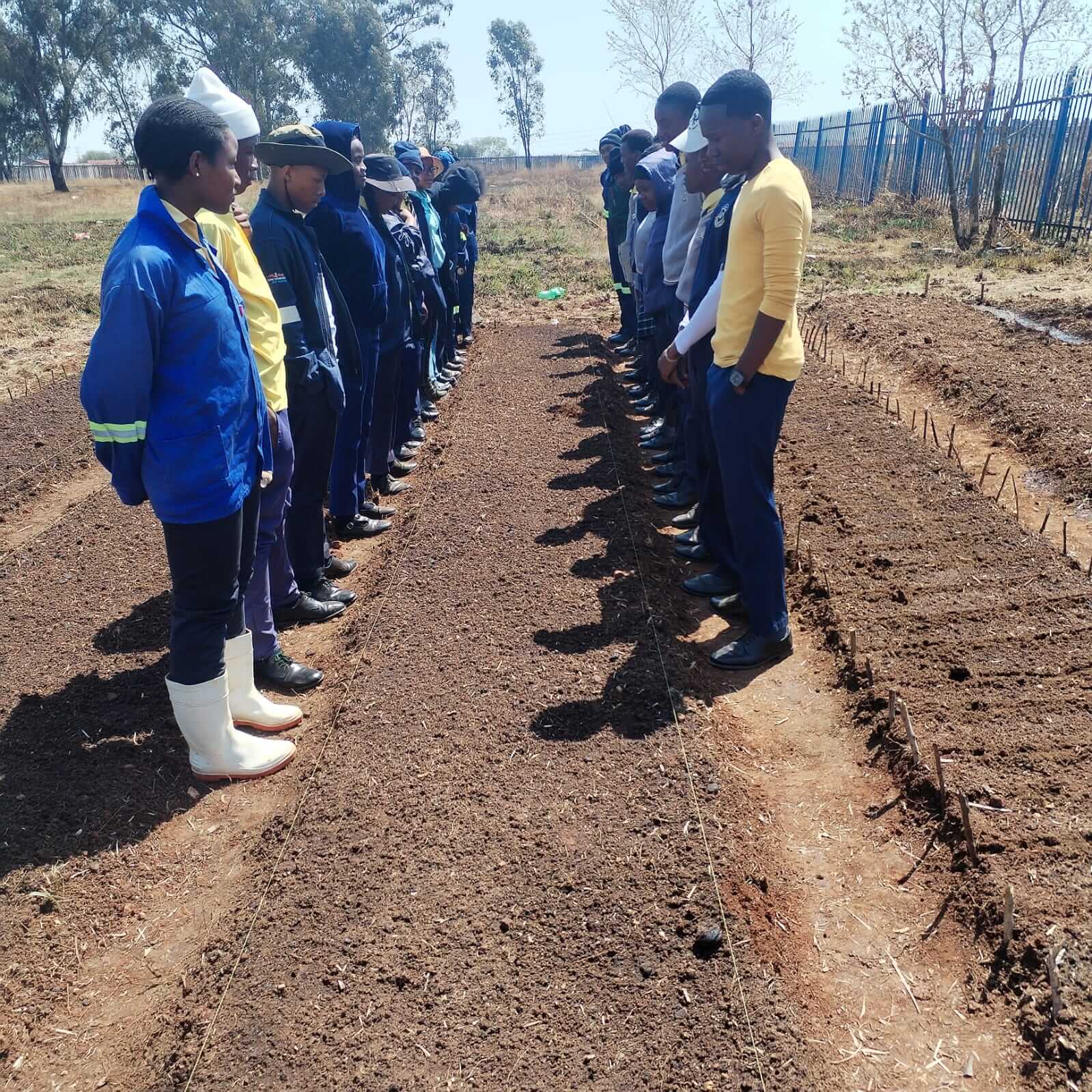 ASD farm activity