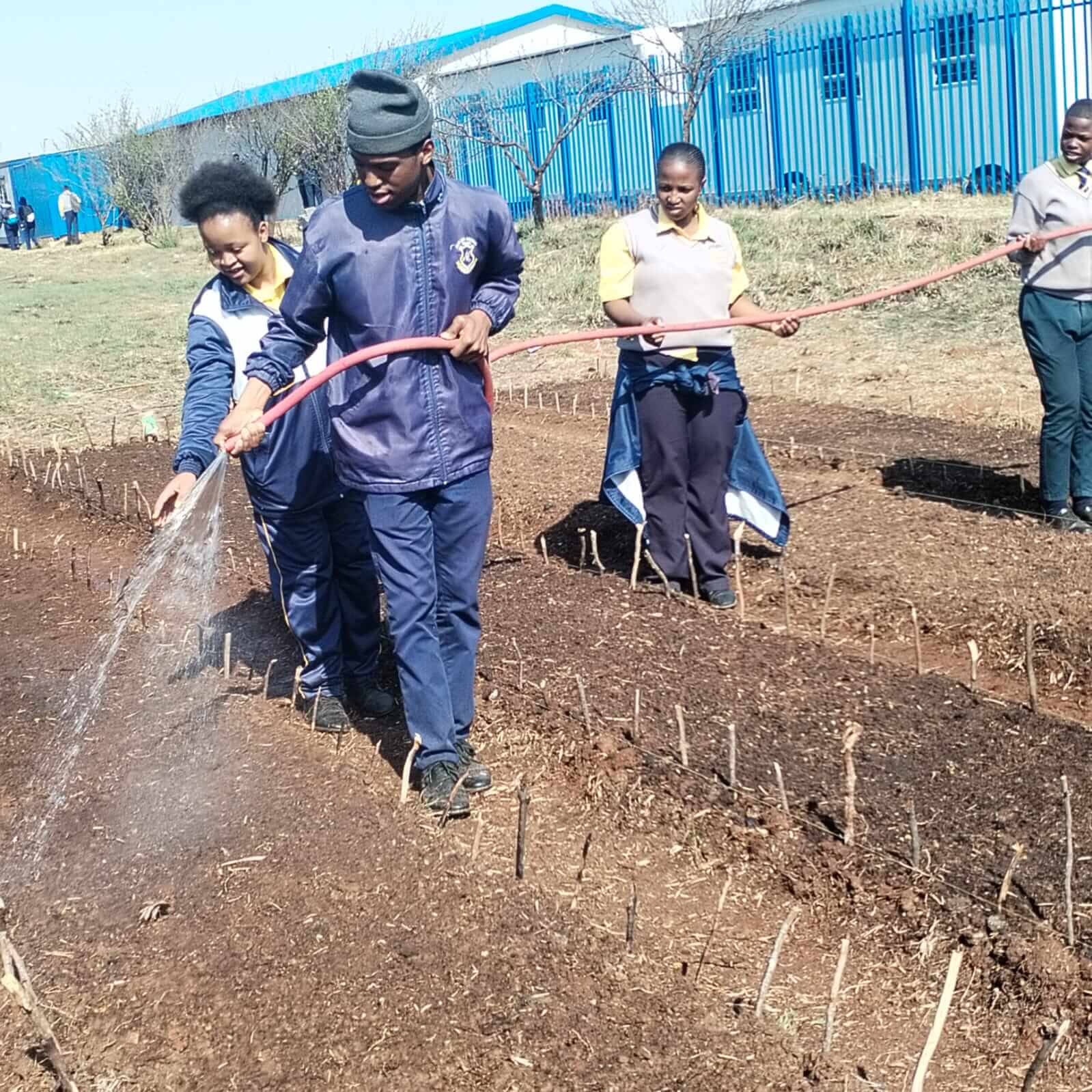 ASD farm activity