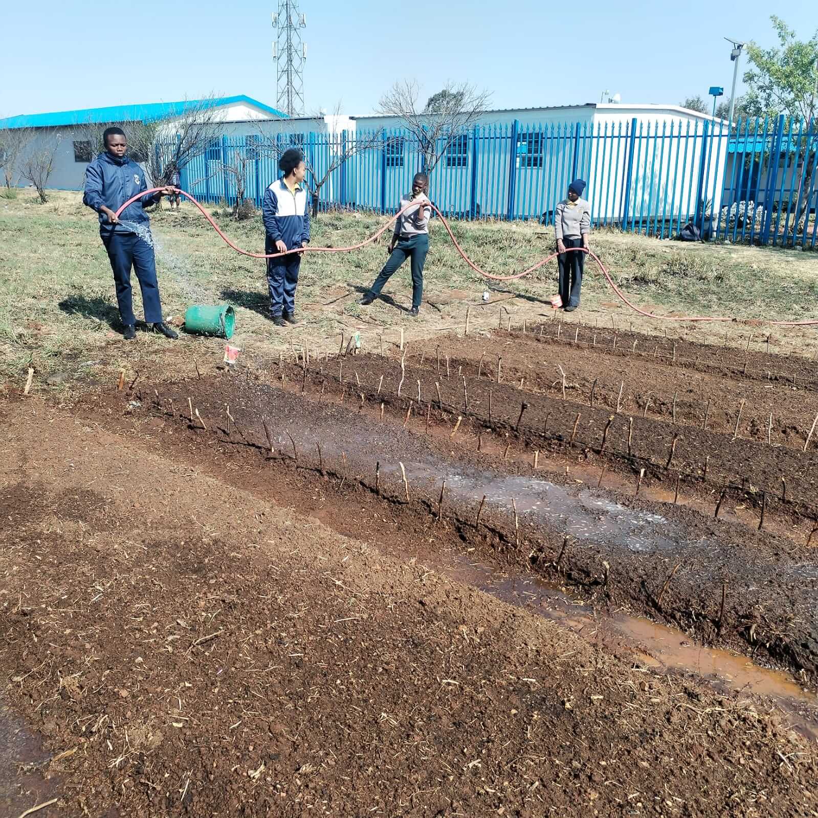 ASD farm activity