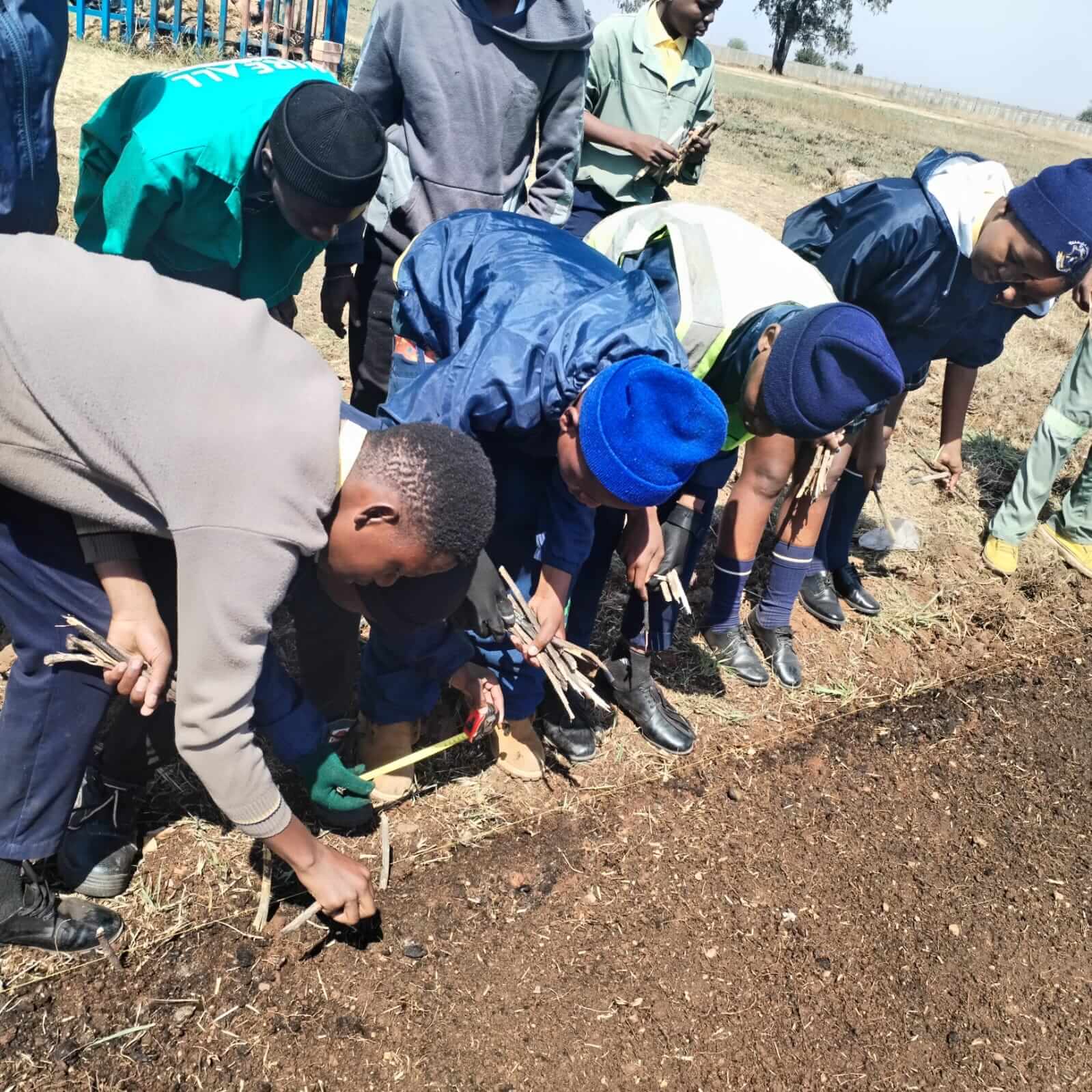 ASD farm activity
