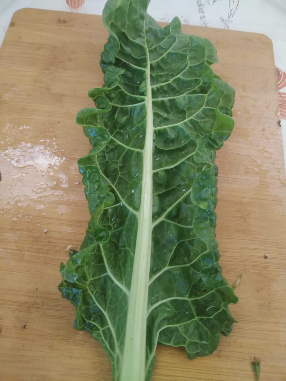 ASD farm activity