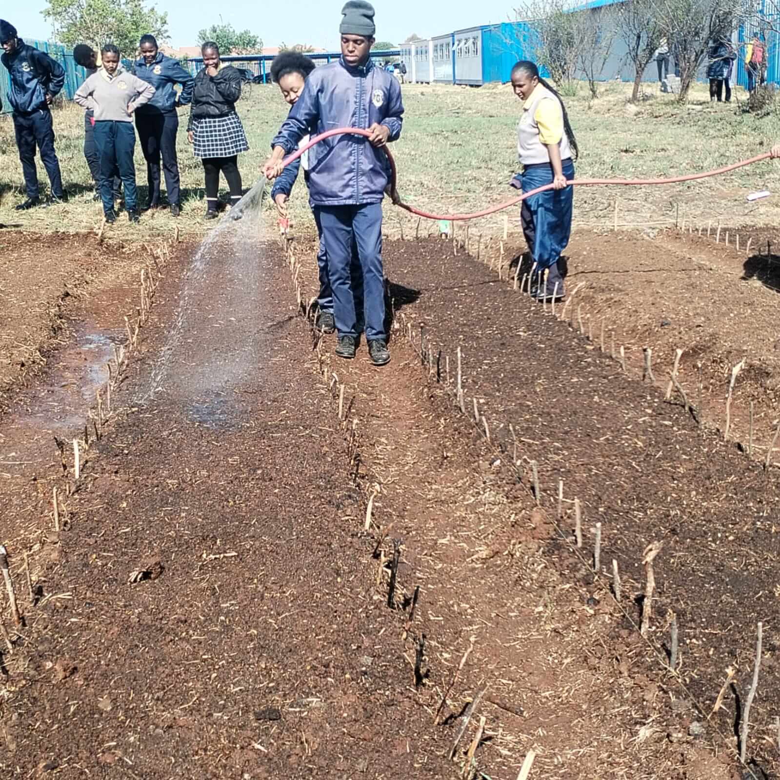 ASD farm activity