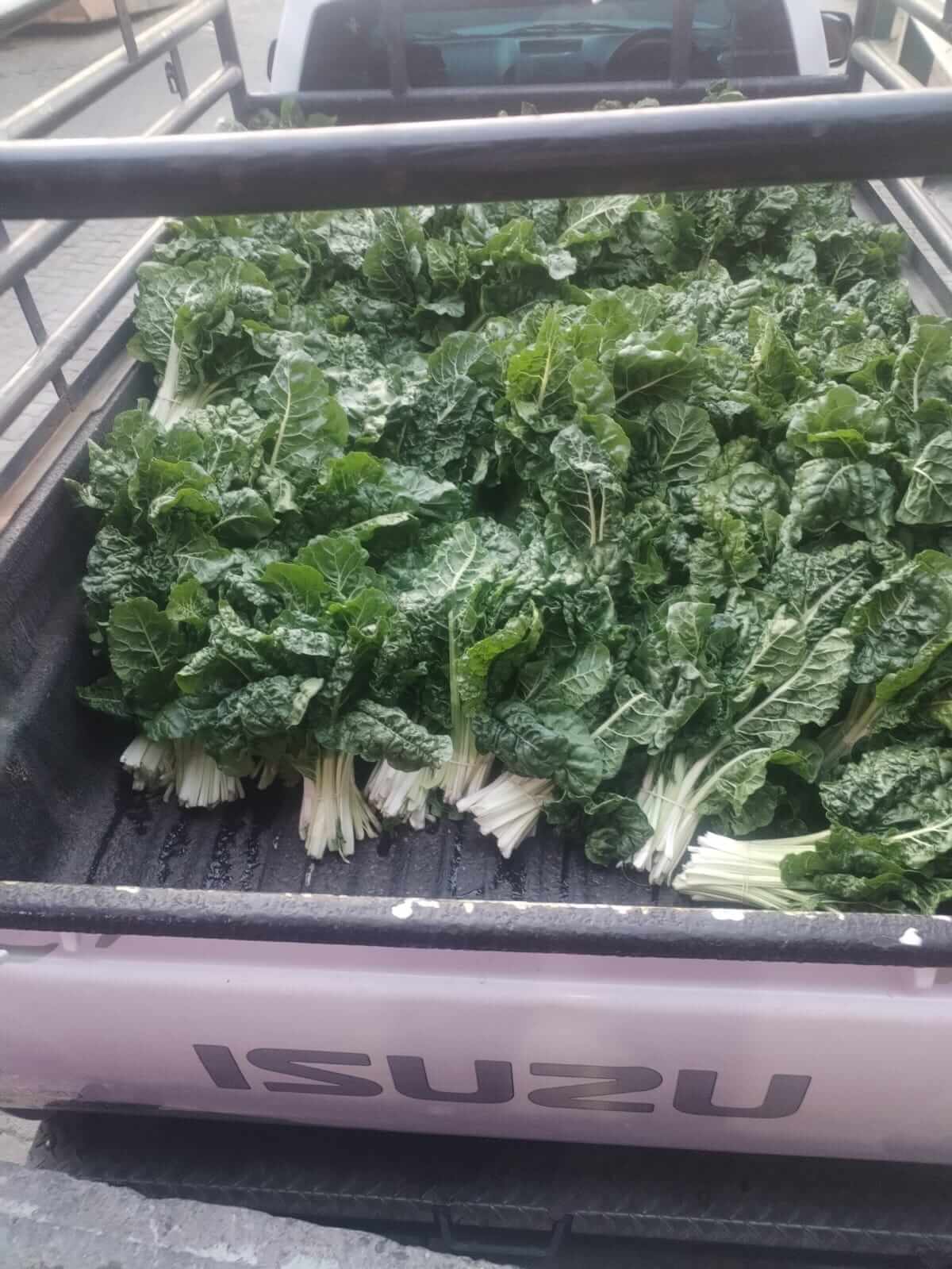 ASD farm activity
